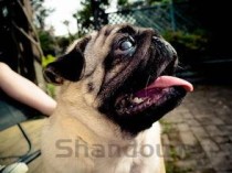 世界上最命硬人，命最硬的生物