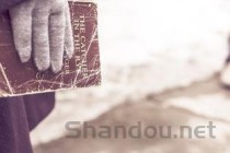 陕西十大道地药材2025年排行榜前十名榜单出炉