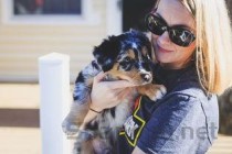 狗狗身上皮肤有黑斑是什么情况？要怎么处理？