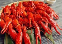 我国淡水养殖的大龙虾有哪些中国哪里的龙虾最有名