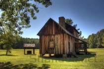 猫咪侧着原地转圈昏睡，为何会这样？怎么办？