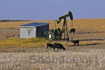 世界上石油最多的国家：委内瑞拉穷的只剩油，储油2970亿桶