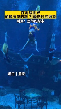 世界上最凉快,哪个国家最凉快