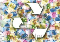 世界上最高的年桔树，高达15米有三四层楼高