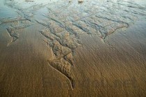 世界上最大的鳄鱼：澳洲鳄鱼(长6.7米/重1.1吨)