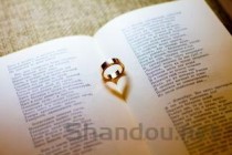 世界十大浪漫情歌，世界上最好听的爱情歌曲(附2024最新排名前十榜单)