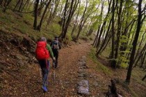 世界上十大最奇特的道路排行榜 难于上青天