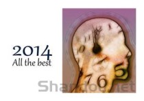 狗狗吐黄水带白色泡沫，为何会这样？要怎么弄？