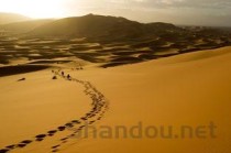 世界绿洲十大面积排行 全球10大著名的沙漠绿洲（世界上面积最大的绿洲）