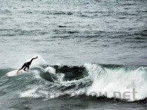 世界上十大最危险的冲浪地  刺激与危险同在(2024年最新排名前十榜单)