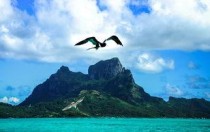 世界十大蜜月海岛，真的是让人向往的天堂（世界上度蜜月最好的地方）