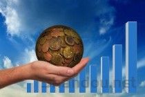 十种世界上最大的动物 体积最大的是蓝鲸！(2024年最新排名前十榜单)