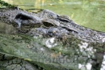 世界上令人惊讶的六大景观排行榜