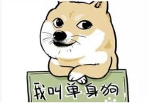 中国最帅单身狗视频,中国光棍最多的10个省