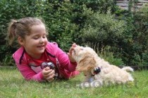 狗狗左后腿突然瘸了是咋回事？要怎么应对？