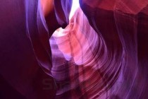 世界上第一恐怖的病毒 全球十大病毒排名(附2024排名前十完整榜单)