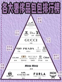 皮包品牌十大排名中端,女包品牌十大排名是怎样？