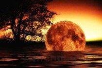 世界上最大的鸣门漩涡，直径能达到30米