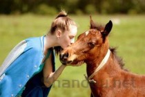 世界上最喜欢睡觉的老鼠，睡鼠一年能睡8个月