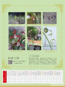 梧州兰花十大排名,陕北民歌中的《兰花花》里面的一十三省指的是什么？