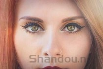 世界十大名猫排行榜，世界上最贵的猫排名