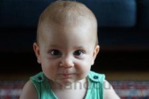 小奶猫吐奶块是什么原因导致的？小奶猫吐奶块要怎么改善？