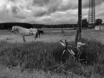 世界上残疾人比例最高的国家：安哥拉每天发生6起爆炸