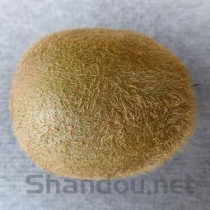 世界去疤痕最好的药膏是什么品牌?，世界祛疤痕产品排名前十