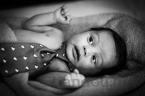 小猫拉稀是何原因？小猫拉稀要怎么调理？