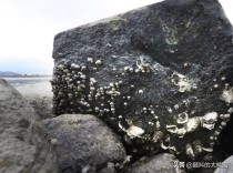 中国最古老的海岸我国最古老的海