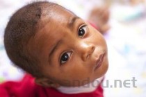 世界上排名前十最小的鸟类 蕉森莺上榜，第一是古巴特有鸟类