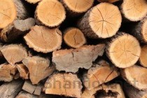 拼多多几块钱卡宾达树皮是什么树皮世界上最贵树木