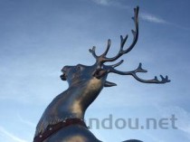 世界上最厉害的动物十大排名，“万兽之王”狮子，第十智商最高