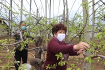 中国最牛街道抢（中国最牛脱口秀）