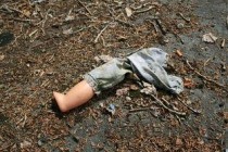 世界上最大的甲虫，泰坦甲虫长达21厘米（一口咬断一根铅笔）