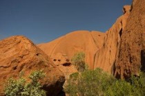 世界上最亮眼的观赏鱼；白胸刺尾鱼色彩非常靓丽