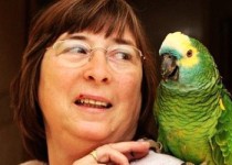 世界上最幸福宠物排名（世界上最幸福的猫咪）