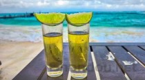 世界上最贵的酒,龙舌兰Tequila Ley925达2400万人民币（堪称天价）