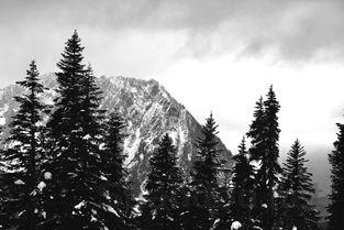 冰岛是世界上最冷的国家吗,冰岛世界上最干净