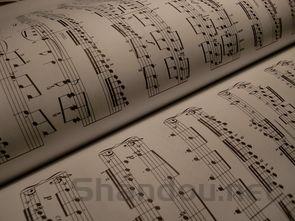 世界神曲排行,世界神曲播放排名前十