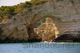 世界上十大海怪,世界上最怪的海