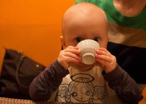 幼猫不喝羊奶粉是啥情况?幼猫不喝羊奶粉该用什么办法?