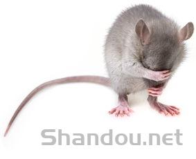 猫咪单眼睁不开眼睑发红是到底怎么了?该如何是好?