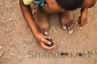 三岁的猫猫尿血脱毛是啥缘故?该怎么解决?