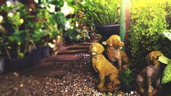 世界上最恶心的几句,世界上最恶心的十件事