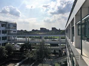 中国最开始最古老的学校是哪个,中国最开始最古老的学校