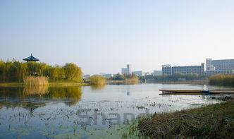 中国最开始最古老的学校是哪个,中国最开始最古老的学校