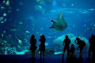 最痛苦的中国舞蹈,最痛的舞蹈动作